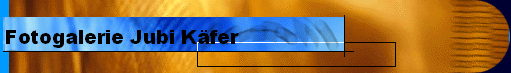 Fotogalerie Jubi K�fer